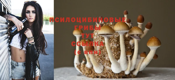 соль ск Абаза