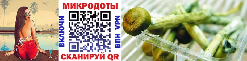 даркнет сайт  Исилькуль  ссылка на мегу ТОР  Псилоцибиновые грибы мухоморы 